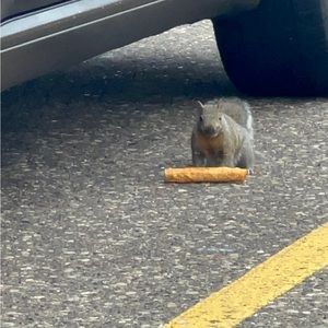 Meet your Posher, Vivian